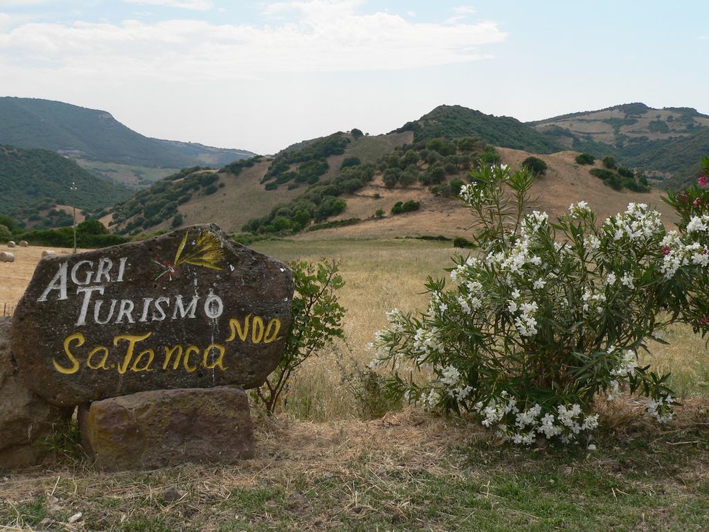 Agriturismo Sa Tanca Noa Tergu Bagian luar foto
