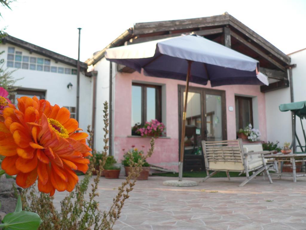 Agriturismo Sa Tanca Noa Tergu Bagian luar foto