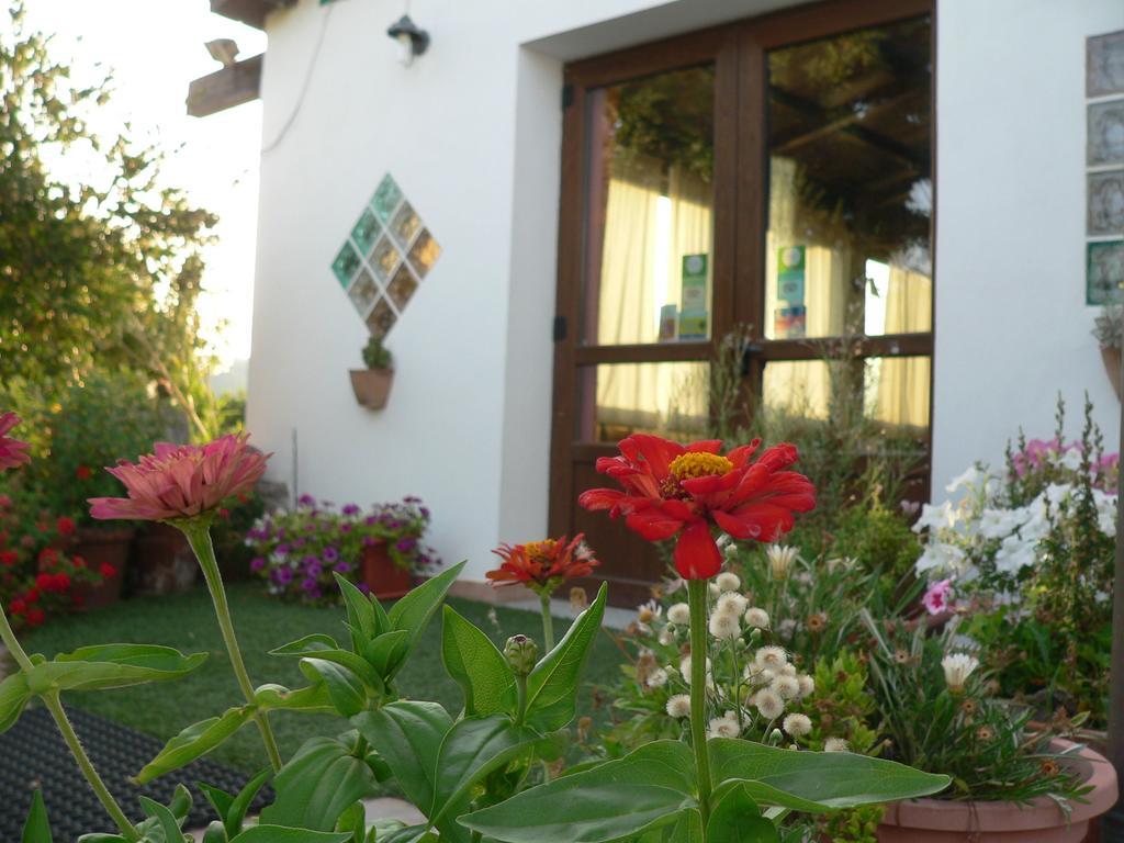 Agriturismo Sa Tanca Noa Tergu Bagian luar foto