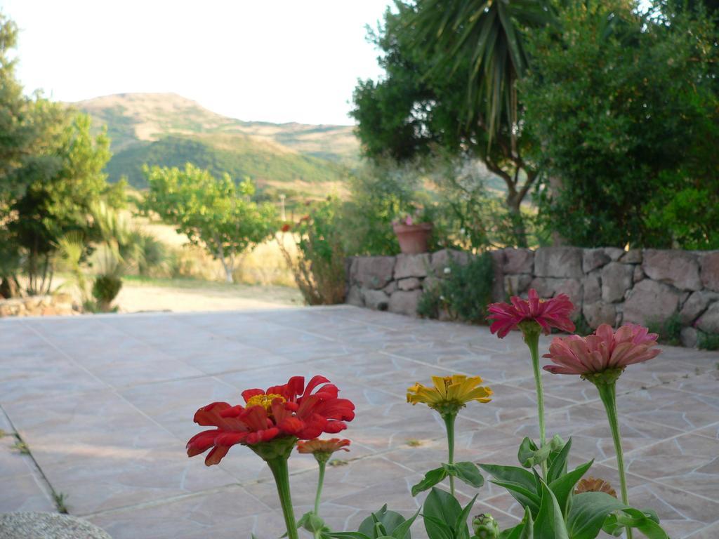 Agriturismo Sa Tanca Noa Tergu Bagian luar foto