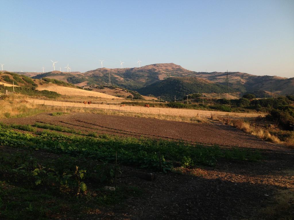 Agriturismo Sa Tanca Noa Tergu Bagian luar foto