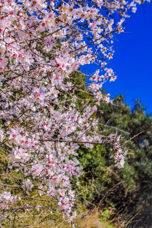 Agriturismo Sa Tanca Noa Tergu Bagian luar foto