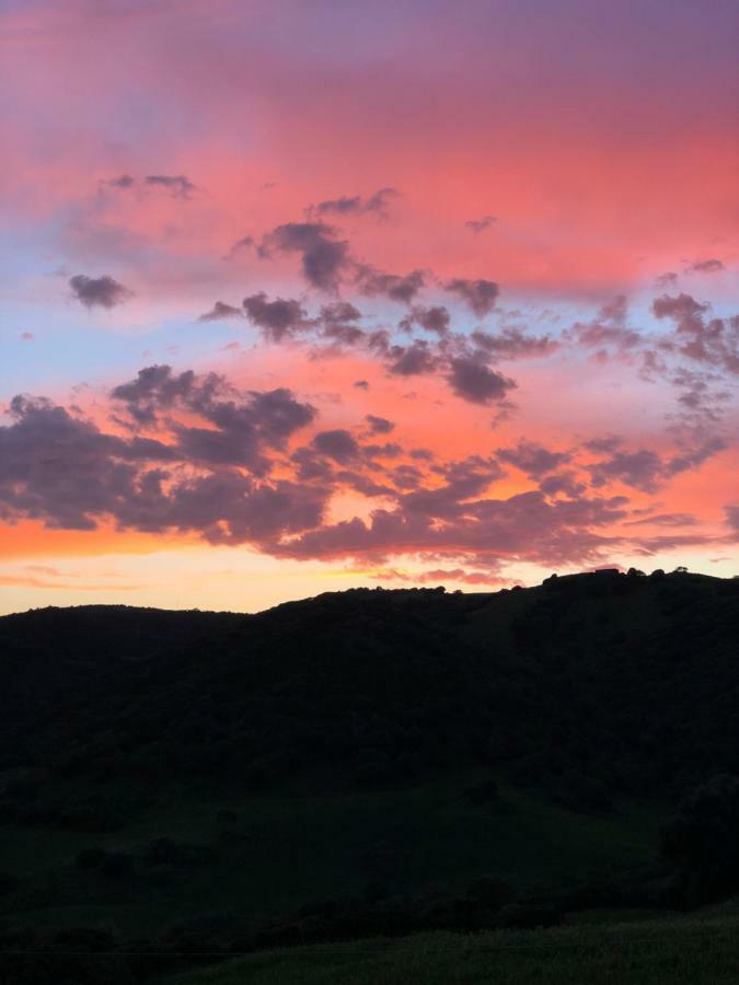 Agriturismo Sa Tanca Noa Tergu Bagian luar foto