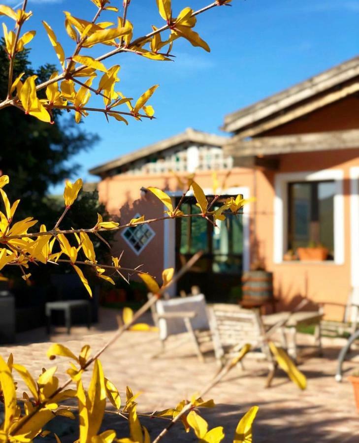 Agriturismo Sa Tanca Noa Tergu Bagian luar foto