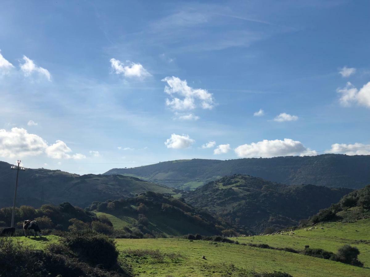 Agriturismo Sa Tanca Noa Tergu Bagian luar foto