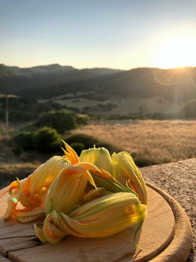 Agriturismo Sa Tanca Noa Tergu Bagian luar foto
